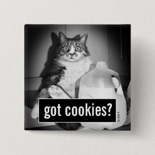 Katze trinkt Milch von Jug Button