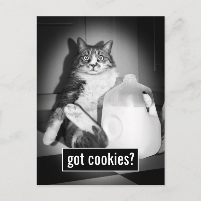 Katze trinkt Milch von Jug Einladungspostkarte (Vorderseite)