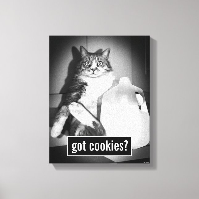 Katze trinkt Milch von Jug Leinwanddruck (Vorderseite)