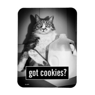 Katze trinkt Milch von Jug Magnet