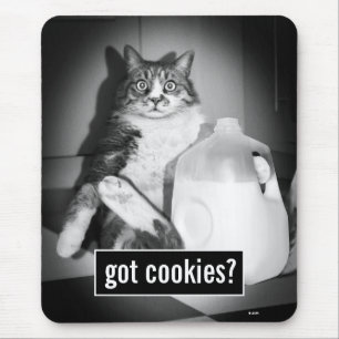 Katze trinkt Milch von Jug Mousepad