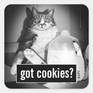 Katze trinkt Milch von Jug Quadratischer Aufkleber