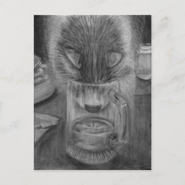 Katze Trinkwasser Niedliche ursprüngliche Holzkohl Postkarte (Vorderseite)