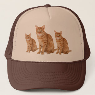 Katze Truckerkappe