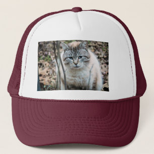 Katze Truckerkappe