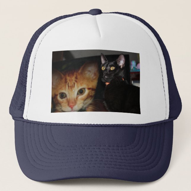 Katze Truckerkappe (Vorderseite)