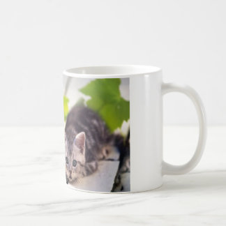 Katze u. Häschen-beste Freund-Tasse Tasse