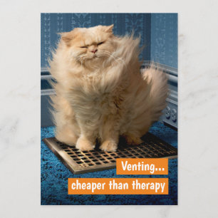 Katze über Grate Einladung