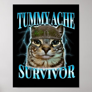 Katze überlebte Bauchschmerzen Meme Lustige Sprüch Poster