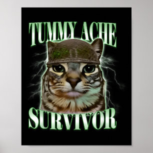 Katze überlebte Bauchschmerzen Meme Lustiger Humor Poster