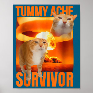 Katze überlebte Bauchschmerzen Meme Lustiger Spruc Poster