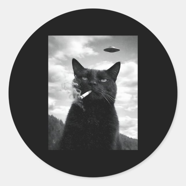 Katze Ufo Meme Selfie Alien Runder Aufkleber (Vorderseite)
