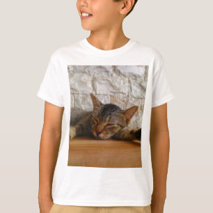 Katze umarmen T-Shirt