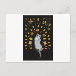 KATZE UND BLÄTTER FOTOGRAFISCHE POSTKARTE