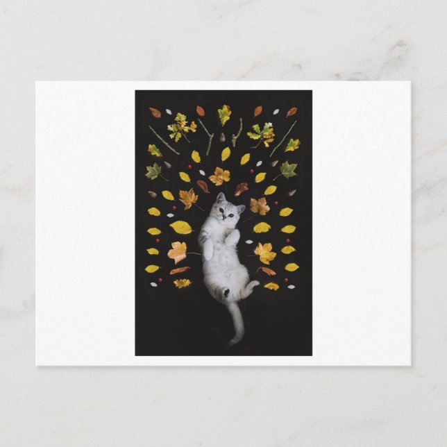 KATZE UND BLÄTTER FOTOGRAFISCHE POSTKARTE (Vorderseite)