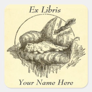 Katze und Eichhörnchen Ex Libris Buchzeichen Aufkl Quadratischer Aufkleber