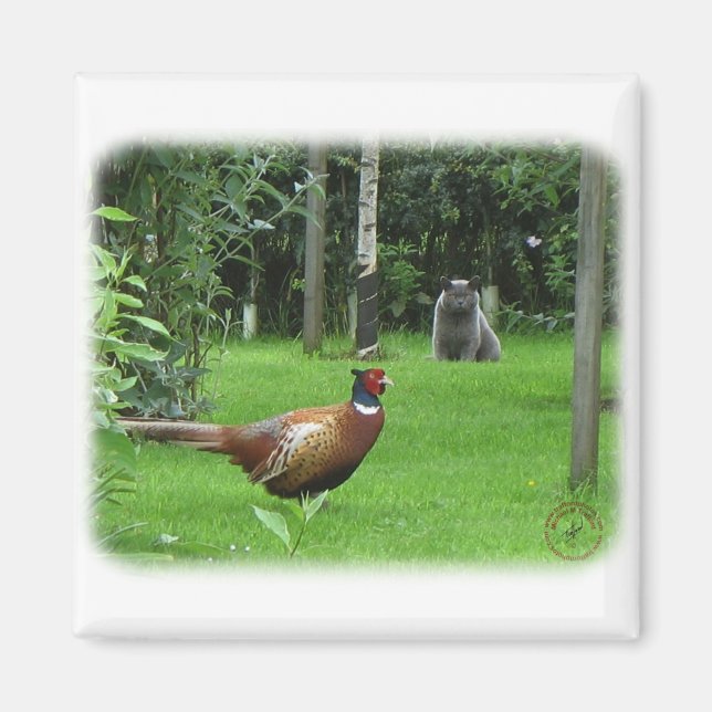 Katze und Fasant Magnet (Vorne)