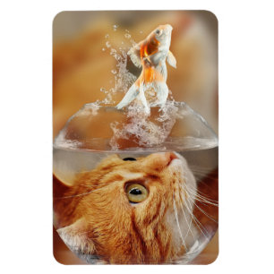 Katze und Fisch Magnet