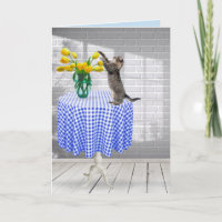 Katze und Geburtstagsgelbe Tulpen auf der Tischkar