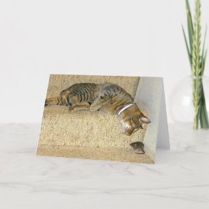 Katze und geschmackvolle Maus Karte