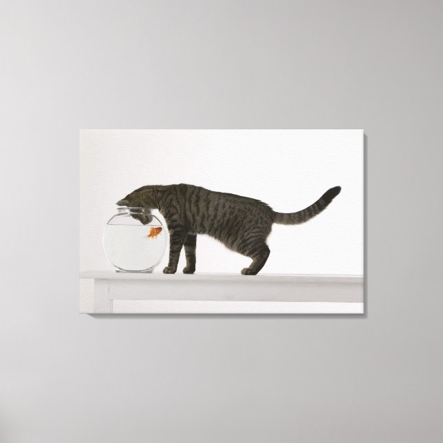 Katze und Goldfische Leinwanddruck (Vorderseite)
