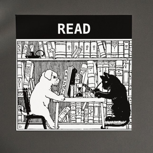 Katze und Hund in der Bibliothek Magnet (Von Creator hochgeladen)