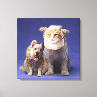 Katze und Hund mit Masken Leinwanddruck
