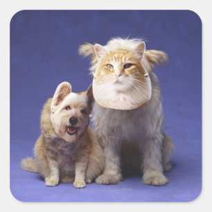 Katze und Hund mit Masken Quadratischer Aufkleber