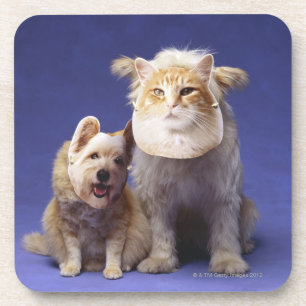 Katze und Hund mit Masken Untersetzer