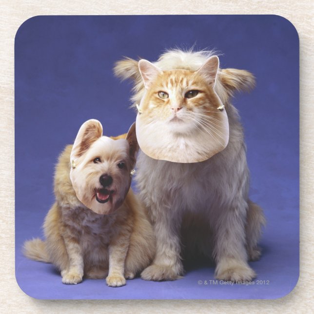 Katze und Hund mit Masken Untersetzer (Vorderseite)