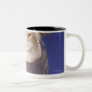 Katze und Hund mit Masken Zweifarbige Tasse