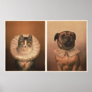 Katze und Hund Poster