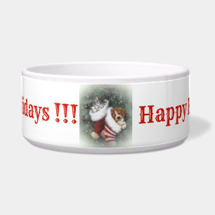 Katze und Hundeschüssel Napf