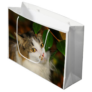 Katze und Kamelien Große Geschenktüte