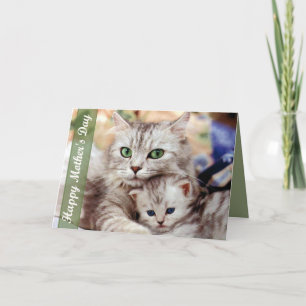 Katze und -kätzchen der Mutter Tages Karte