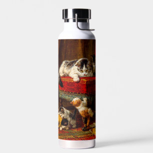 Katze und Kätzchen spielen mit Stuhl Trinkflasche
