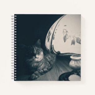 Katze- und Lampennoir-Style-Fotografie Notizbuch