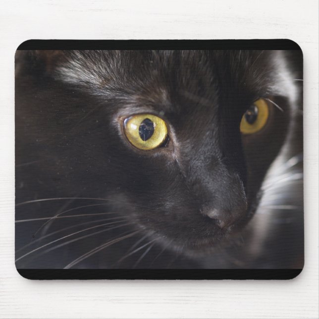 Katze und Maus Mousepad (Vorne)