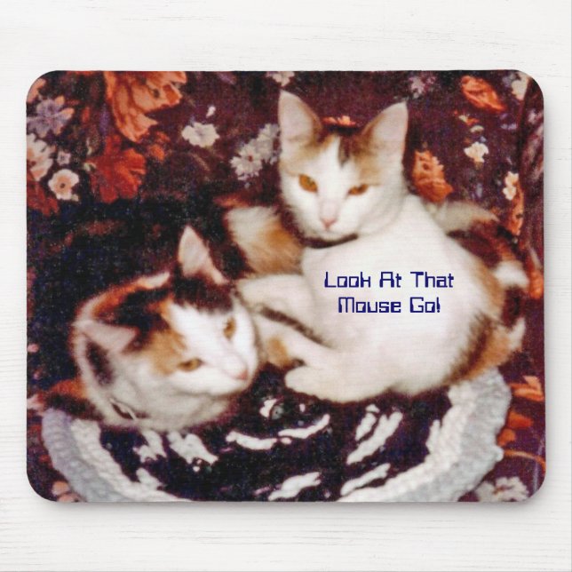 Katze und Mousepad (Vorne)