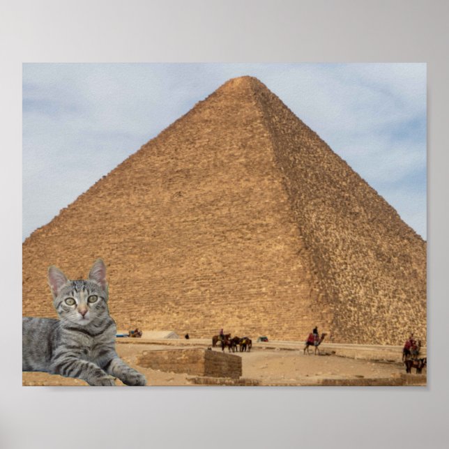 Katze und Pyramide. Poster (Vorne)