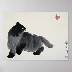 Katze und Schmetterling Poster