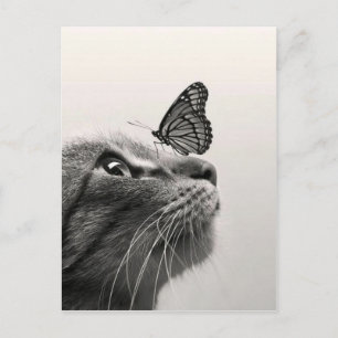 Katze und Schmetterling Postkarte
