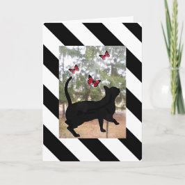 Katze und Schmetterling, schwarz, weiß gestreift G Karte