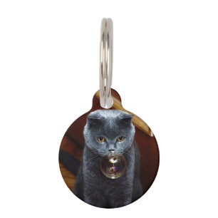 Katze und Seifenblase Haustiermarke