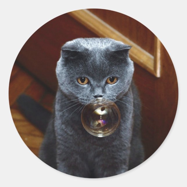 Katze und Seifenblase Runder Aufkleber (Vorderseite)