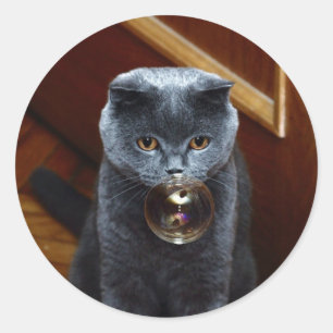 Katze und Seifenblase Runder Aufkleber