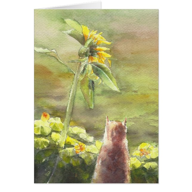 Katze und Sonnenblume (Vorne)