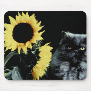 Katze und Sonnenblumen Mousepad
