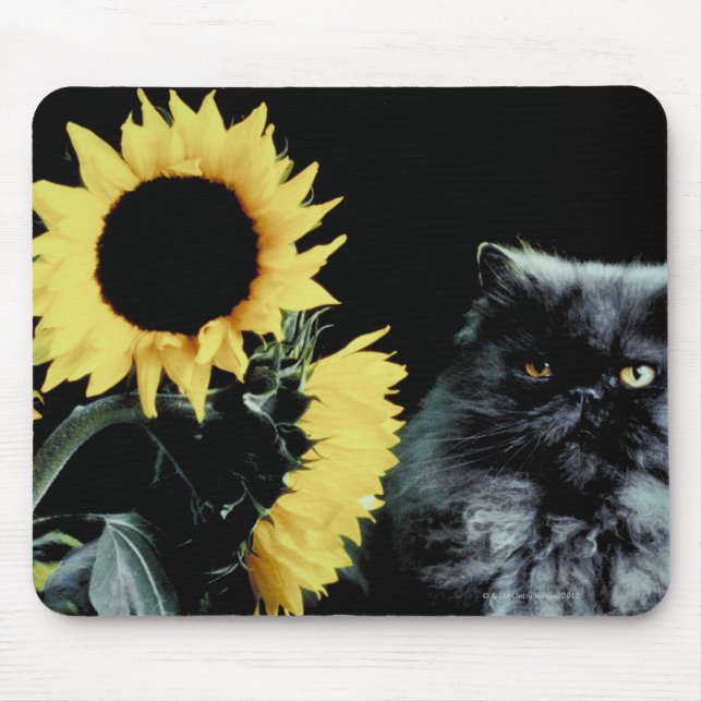 Katze und Sonnenblumen Mousepad (Vorne)
