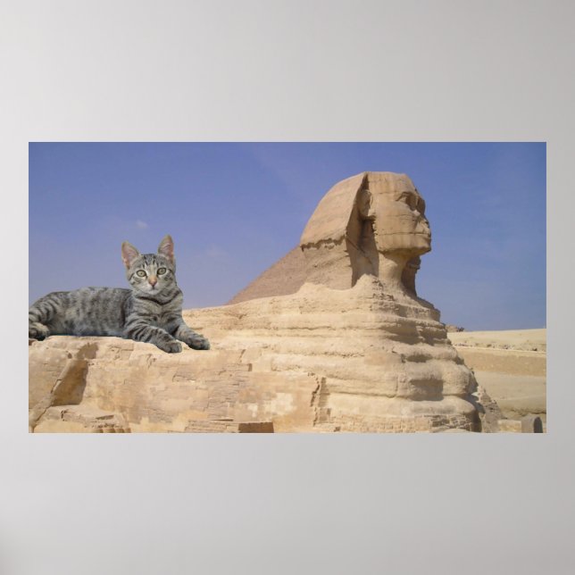 Katze und Sphinx. Poster (Vorne)